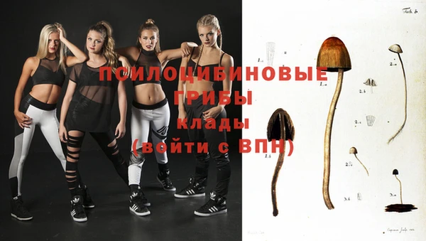ешки Волосово