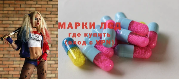 гидра Володарск