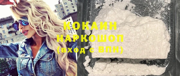 гидра Володарск