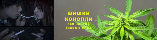 гидра Володарск