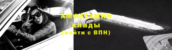 гидра Володарск