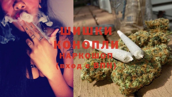 гидра Володарск
