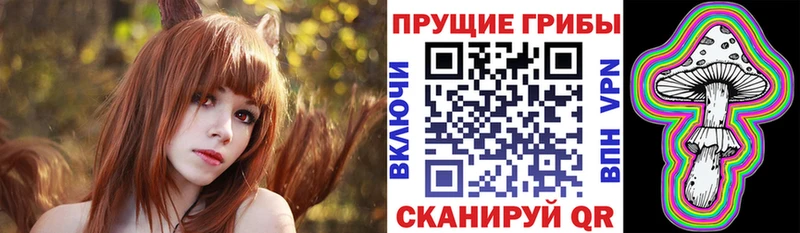 Галлюциногенные грибы Psilocybine cubensis  Стрежевой 